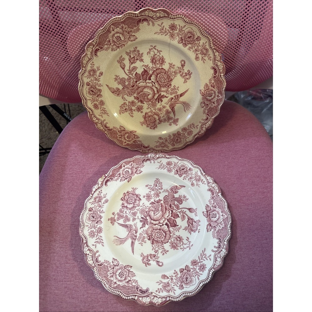 Crown Ducal Bristol Pink Dinner Plates Set 2 English Transferware 9.75" 762055